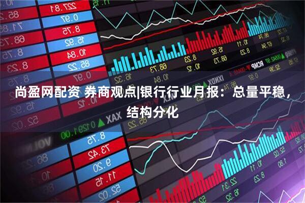 尚盈网配资 券商观点|银行行业月报：总量平稳，结构分化