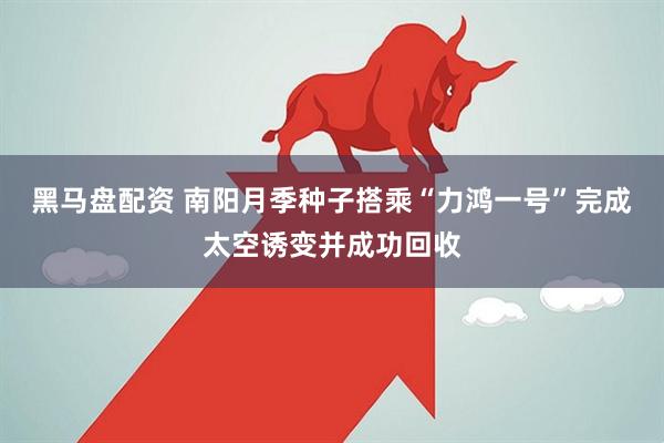 黑马盘配资 南阳月季种子搭乘“力鸿一号”完成太空诱变并成功回收