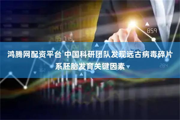 鸿腾网配资平台 中国科研团队发现远古病毒碎片系胚胎发育关键因素