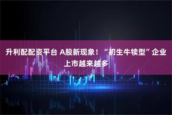 升利配配资平台 A股新现象！“初生牛犊型”企业上市越来越多